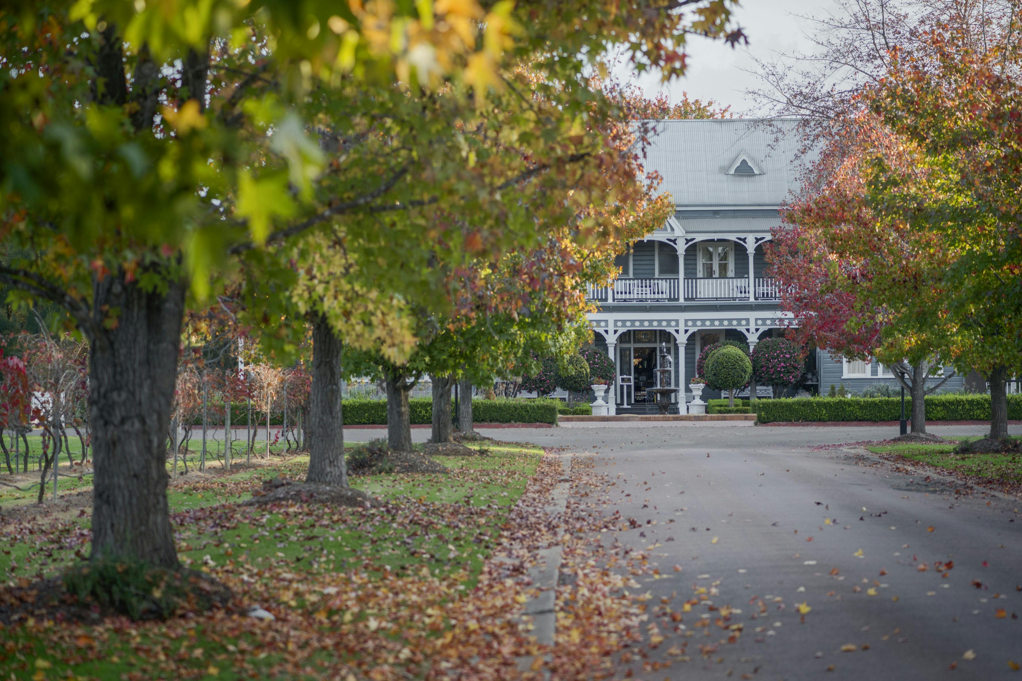 06.01.05.02.02 convent external autumn