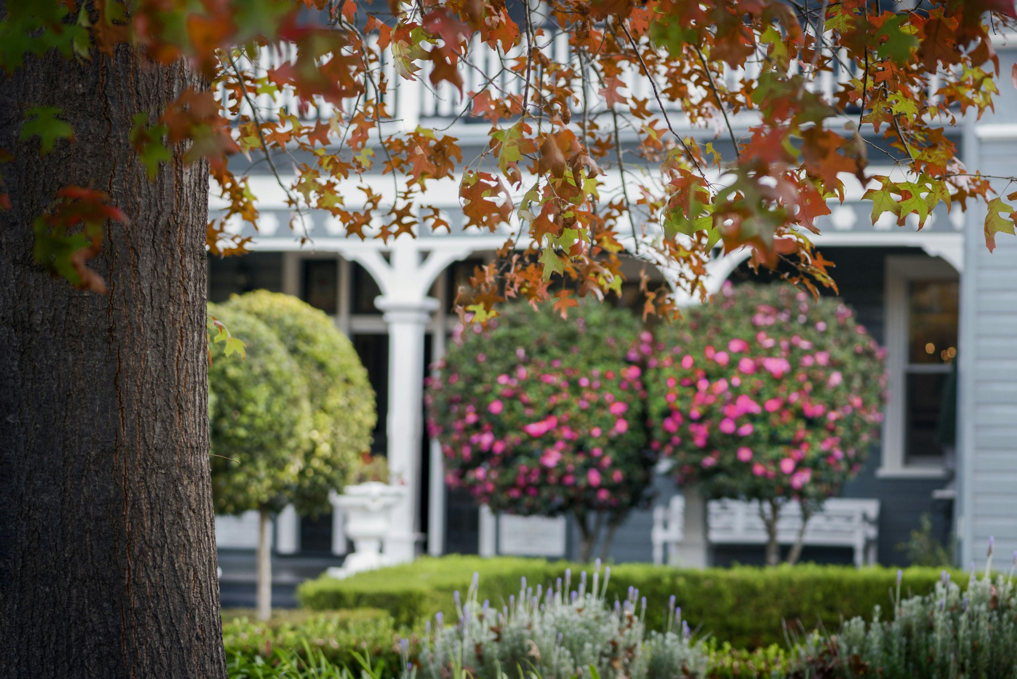 06.01.05.02.05 Convent grounds - Luxury Hunter Valley accommodation for a romantic midweek escape