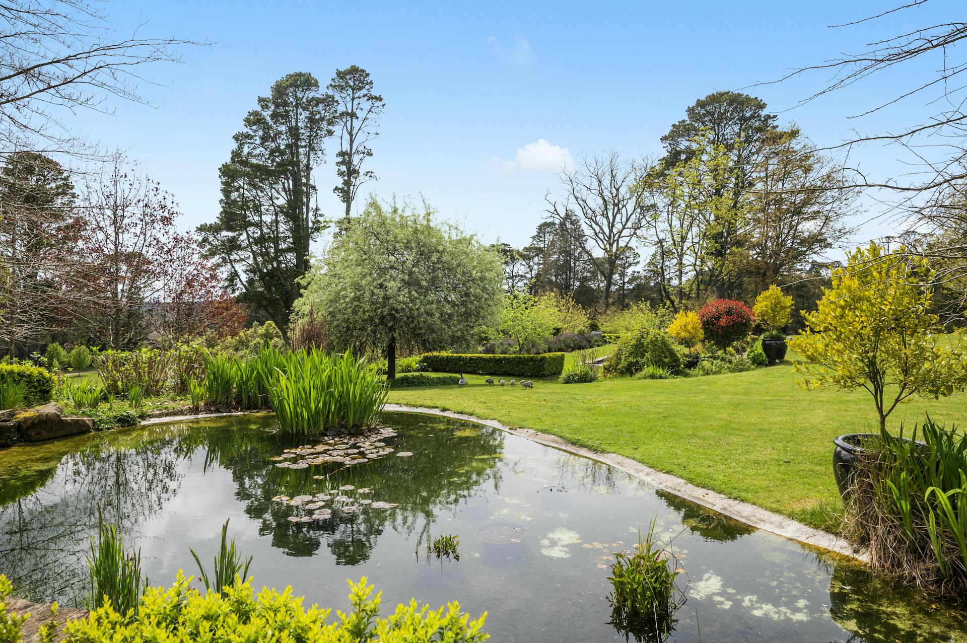 Gardens | Parklands Country Garden & Lodges